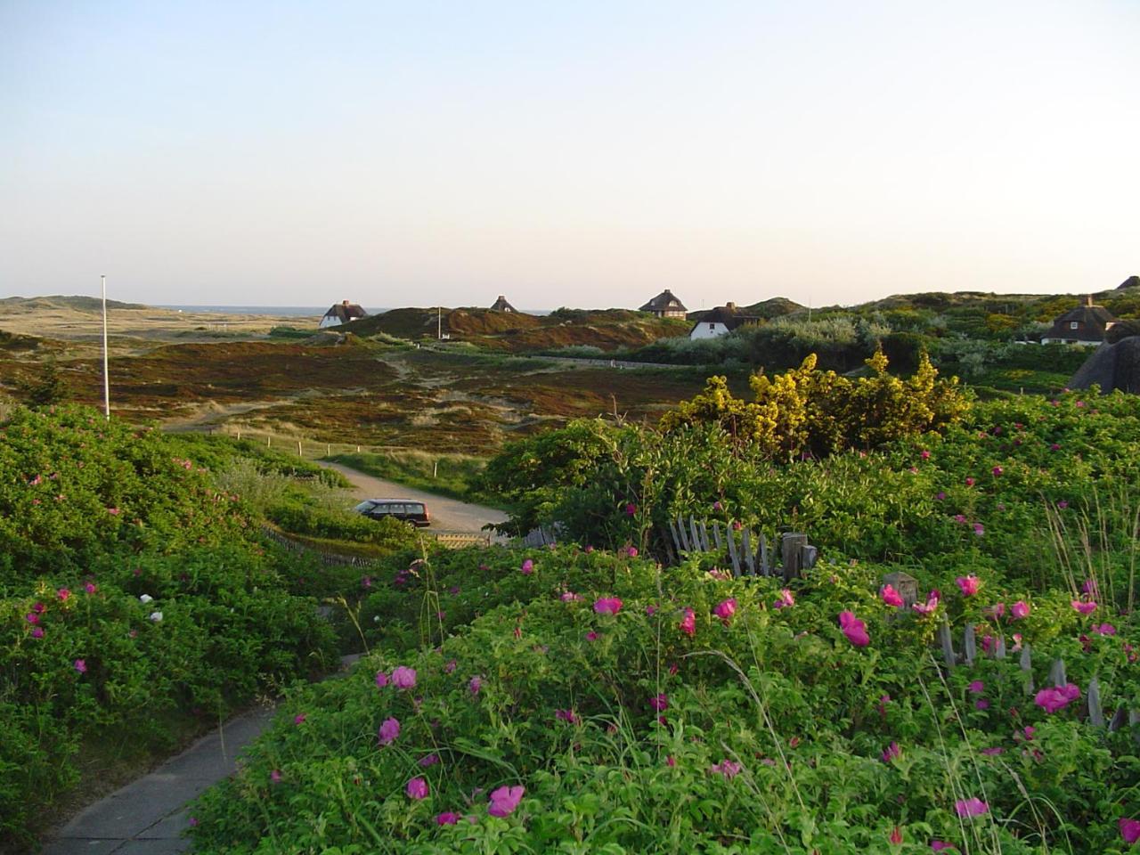 Giebelhaus Frida - Sylt, Vesterland Eksteriør billede